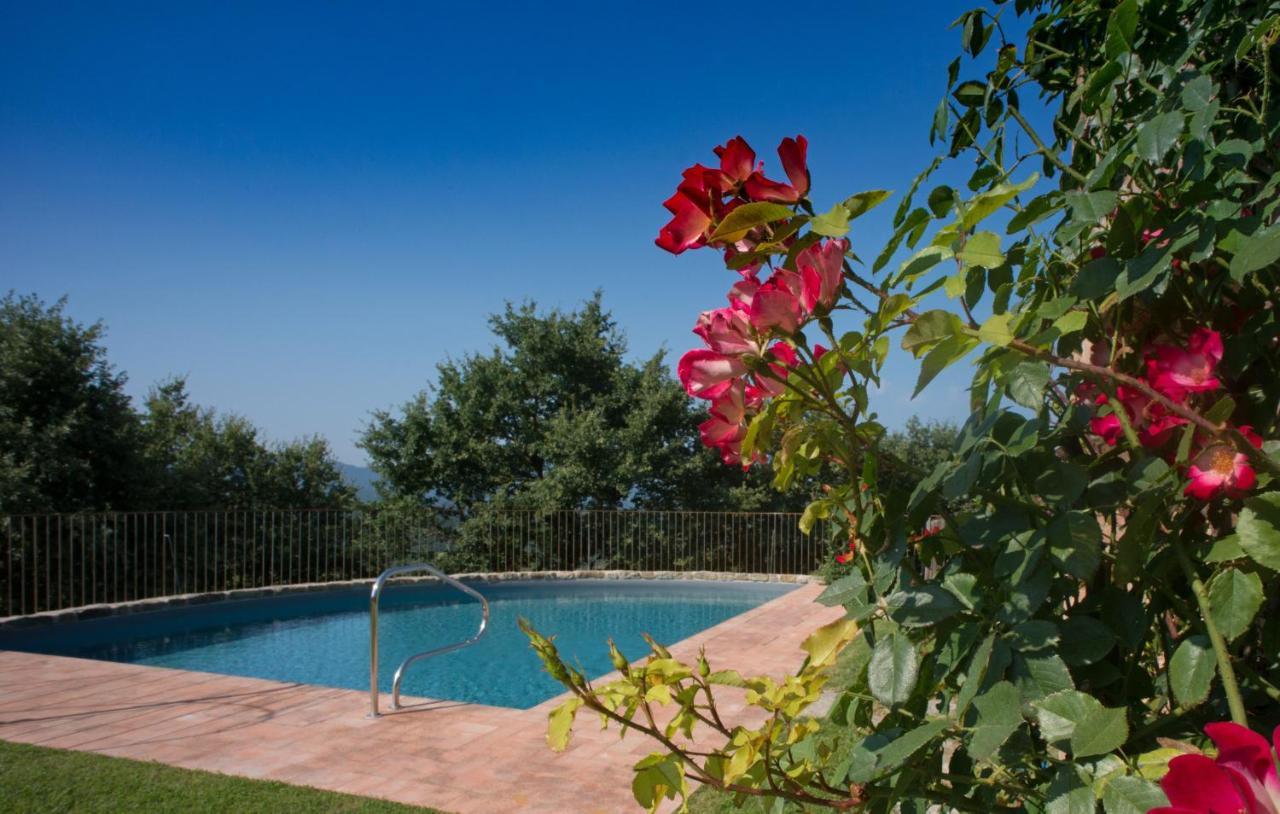 Villa Tinaia - Homelike Villas Molinelli Luaran gambar